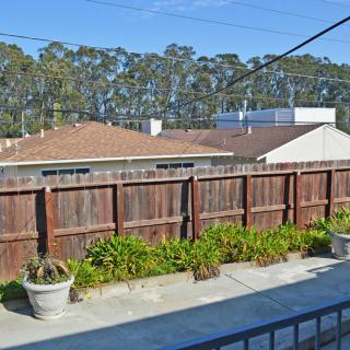 A suburban backyard view featuring a wooden fence, lush greenery, and rooftops against a backdrop of tall trees.