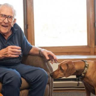 An elderly man sitting and smiling at a dog inside a cozy room with a large window.