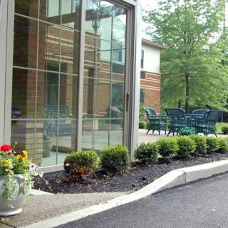 A well-maintained garden and patio area outside a building, featuring shrubs and flowers.