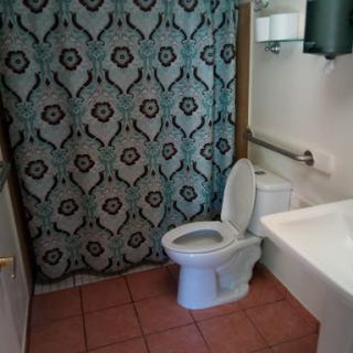 A clean and simple bathroom featuring a toilet, bathtub, and decorative shower curtain.