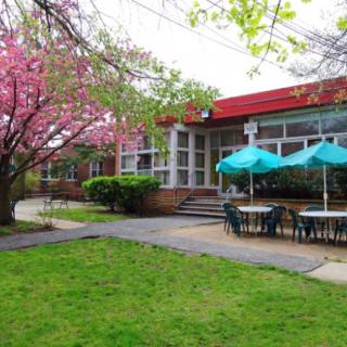 A charming outdoor dining area with blossoming trees and colorful umbrellas.