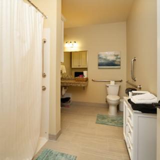 A well-lit bathroom with a shower, toilet, vanity, and decorative elements.