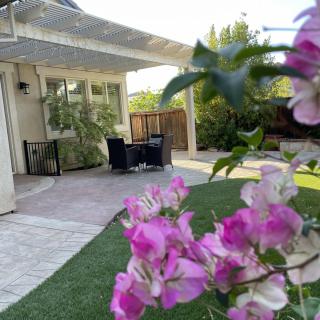 A tranquil backyard with a patio and vibrant pink flowers in the foreground.