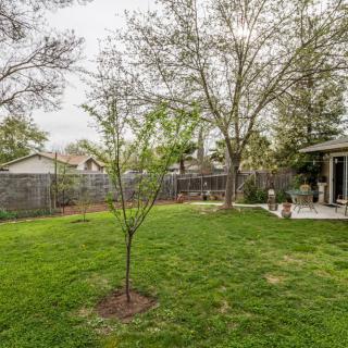 A peaceful backyard with a young tree, lush grass, and a fenced perimeter.