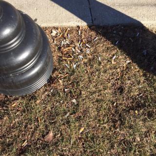 A lamp post casting a shadow on the grass beside a sidewalk.