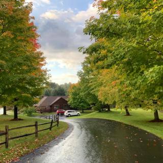 A scenic autumn view with a winding road leading to a cabin surrounded by colorful trees.