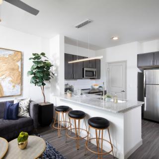 A contemporary open-plan kitchen and living area with modern decor and appliances.