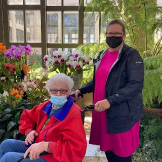 A caregiver assisting an elderly person in a wheelchair surrounded by vibrant flowers.