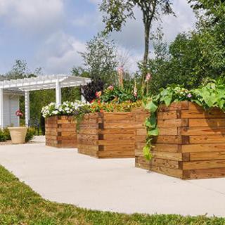 A scenic garden with raised wooden planters filled with lush greenery and flowers.