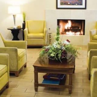 A cozy living room with yellow armchairs and a fireplace, featuring a wooden coffee table adorned with decorative plants.