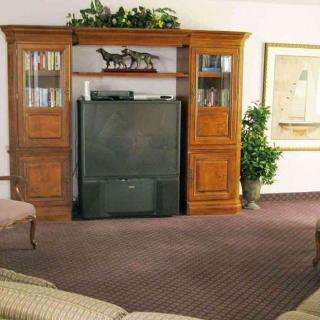 A cozy living room featuring an entertainment center with a large TV, wooden cabinets, and decorative elements including an indoor plant.