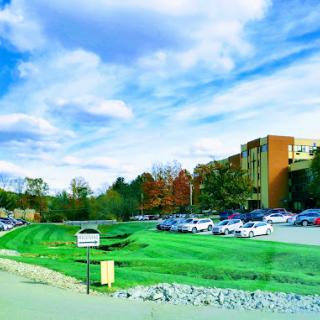 A serene view of a parking lot surrounded by greenery and a cloudy sky.