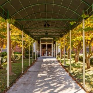 A covered pathway leads through a garden with autumn foliage.