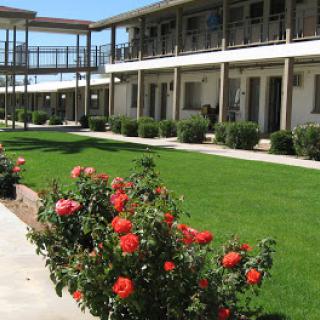 A scenic view of a motel with blooming red roses in the foreground and well-maintained grassy areas.