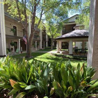 A serene apartment complex courtyard surrounded by lush greenery and trees.