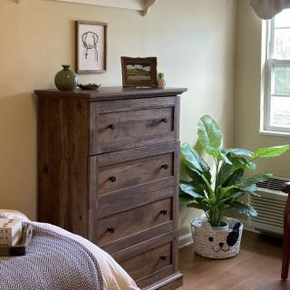 A cozy bedroom corner featuring a wooden dresser, indoor plant, and natural light streaming through the window.