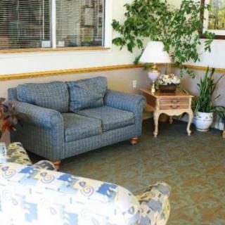 A cozy living room with a blue sofa, potted plants, and a side table with a lamp.