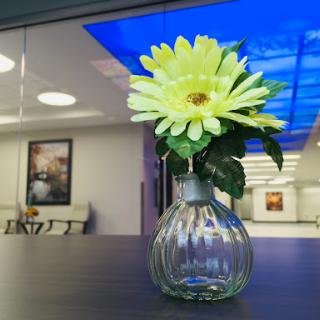 A vibrant yellow flower in a sleek glass vase, adding a touch of elegance to the modern interior.