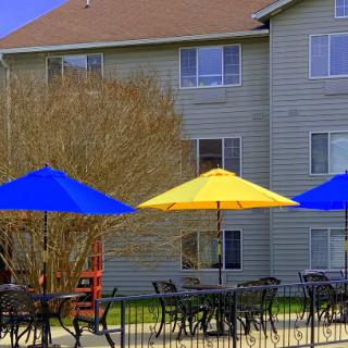 A vibrant outdoor seating area featuring colorful umbrellas against the backdrop of an apartment building.