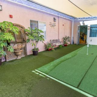 A well-maintained outdoor area featuring artificial grass, potted plants, and a golf putting green.