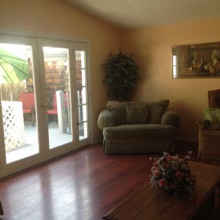 A cozy living room featuring a sofa, large potted plant, and patio doors letting in sunlight.