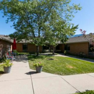 A sunny courtyard with a well-maintained lawn and surrounding buildings.