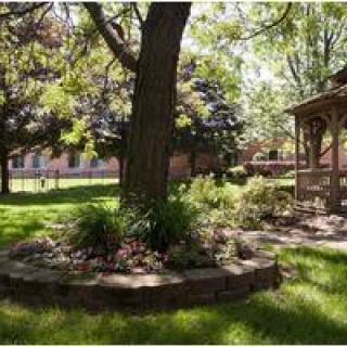 A serene garden with a large tree and a gazebo surrounded by lush greenery.