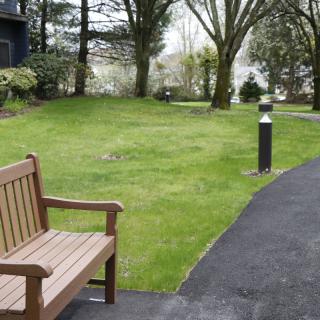 A tranquil outdoor garden area with a wooden bench and a paved pathway surrounded by green grass and trees.
