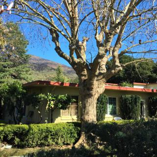 Country Inn