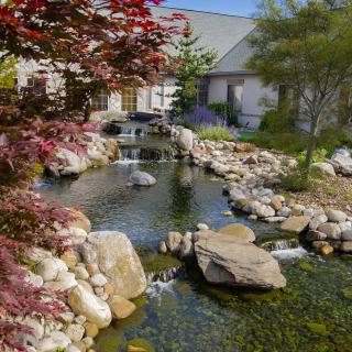A serene garden featuring a pond with a small waterfall surrounded by rocks and lush greenery.