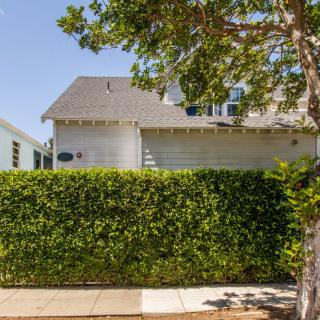 A residential house with a well-trimmed hedge and tree lining the sidewalk on a sunny day.