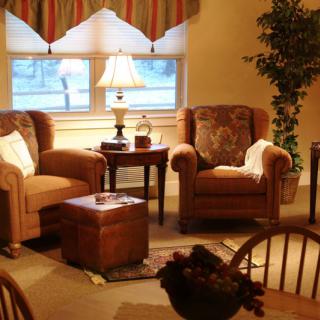 A cozy living room with armchairs, a lamp, and indoor plants by the window.