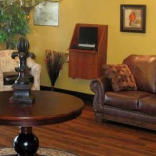 A cozy living room with a leather sofa, coffee table, and decorative elements.