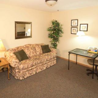 A cozy living room with a floral couch, desk, and indoor plant.