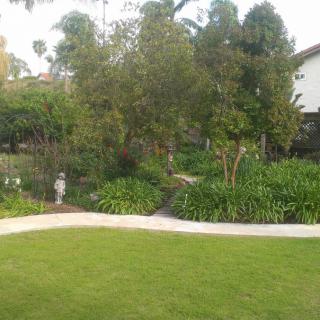 A peaceful garden with a lush green lawn and surrounding trees.