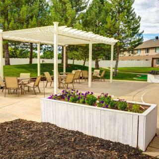 A scenic outdoor patio with a pergola, seating area, and planter box filled with flowers.