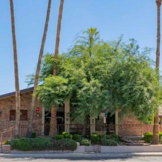 A suburban brick house surrounded by palm trees and greenery.