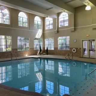 A serene indoor swimming pool with sunlight streaming through large windows.