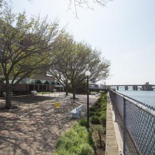 A scenic view of a park along the riverbank, featuring a pathway, benches, and trees with a bridge visible in the background.