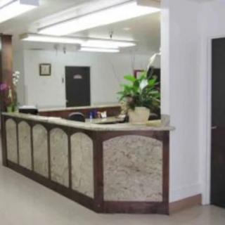 A modern reception area with a desk and decorative plants.