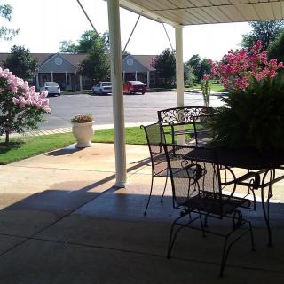 A sunny patio with outdoor furniture, surrounded by trees and flowers.
