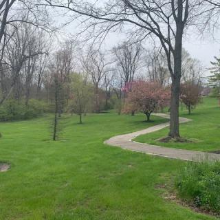 A scenic park with a winding pathway bordered by trees and fresh greenery.