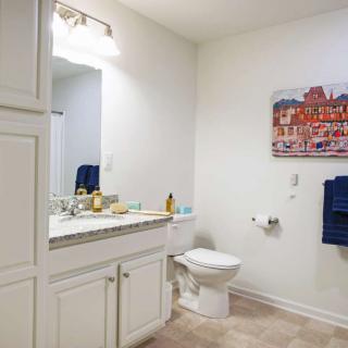 A well-lit bathroom with a sink, toilet, and decorative elements.