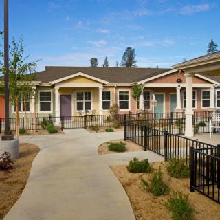 A row of colorful houses with a landscaped pathway surrounded by greenery.