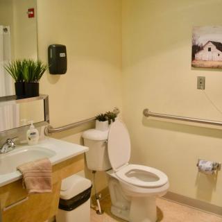 A clean and accessible bathroom with a toilet, sink, and safety rails.