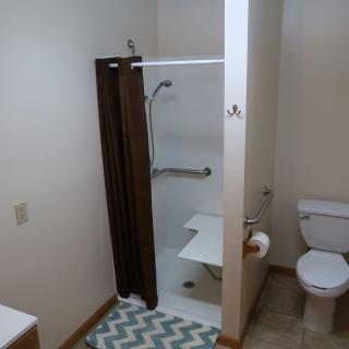 An accessible bathroom with a shower, toilet, and a patterned rug.