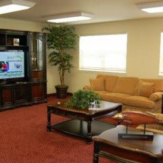 A cozy living room featuring a sofa, television, coffee table, and indoor plant.