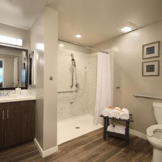 A modern bathroom featuring a spacious shower area, stylish vanity, and elegant decor.