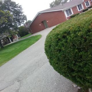 A winding pathway leading to a brick building, surrounded by greenery.
