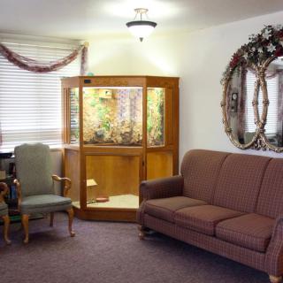 A cozy living room with a sofa, armchair, and decorative mirrors and plants.